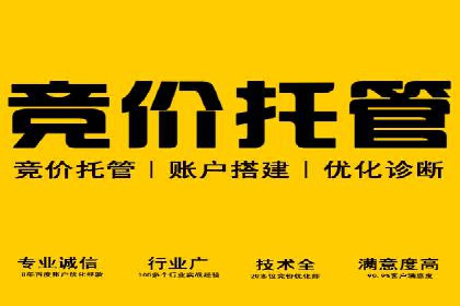 行业领先企业选择SEM代运营托管公司的原因揭秘